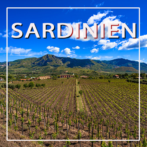 Weine aus Sardinien