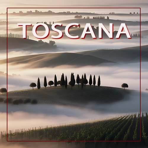 Die Weine der Toskana