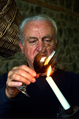Lambrusco Sorbara Secco 