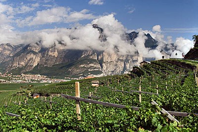 Cabernet Sauvignon Castel Firmian